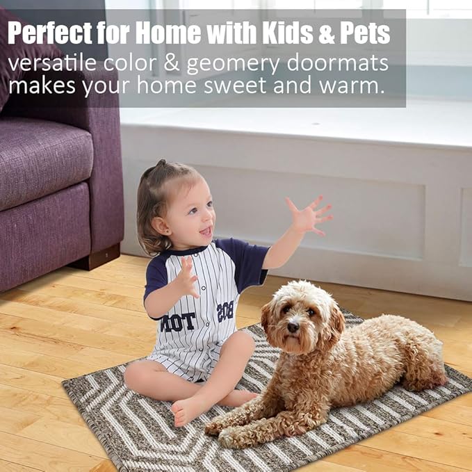 Indoor Doormat 24"x 36", Absorbent Front Back Door Mat Floor Mats, Rubber Backing Non Slip Door Mats Inside Mud Dirt Trapper Entrance Door Rug Carpet, Machine Washable Low Profile-Brown Time Cloister