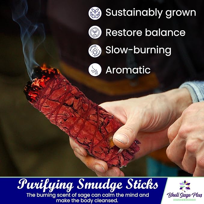 Sage Smudge Kit for Cleansing Negative Energy and Cleansing Home Sinuata, Dragon Blood, Cinnamon and Triple Flower Dried - 4'' Long Pack of 4 White California Sage Sticks