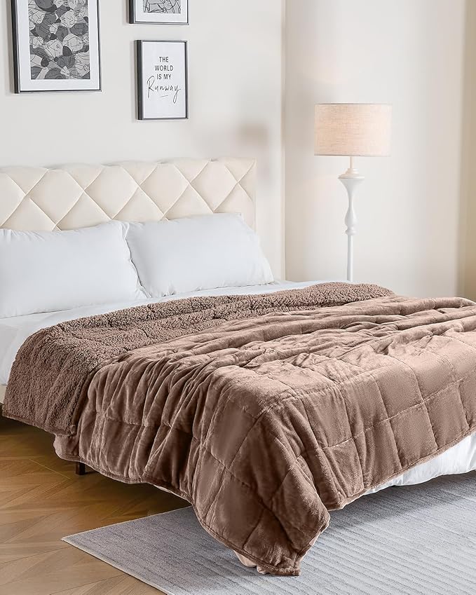 Cottonblue Sherpa Fleece Weighted Blanket 15 lbs for Adult, Flannel Cozy Bed Blankets, Fuzzy Sherpa Weighted Blankets Full Size 48 x 72 inches, Soft Blanket for Sofa Beds, Dark Brown