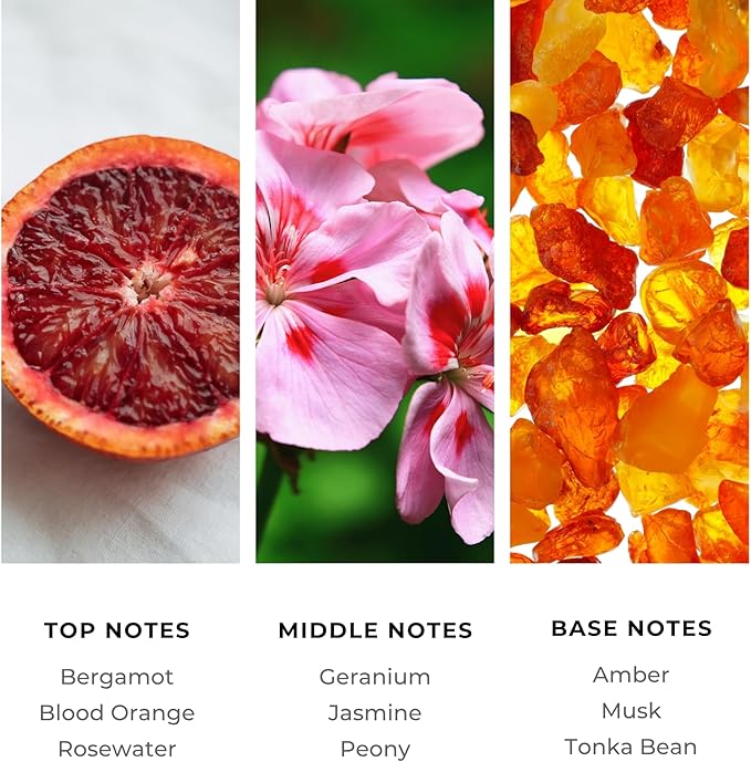 Brilliant Scents French Riviera Fragrance Oil 200ml - Premium Diffuser Oil for Home, Office, Hotels - Long Lasting, Plant-Based, Meets IFRA Standards, USA-Made - Blood Orange, Jasmine, Tonka Bean