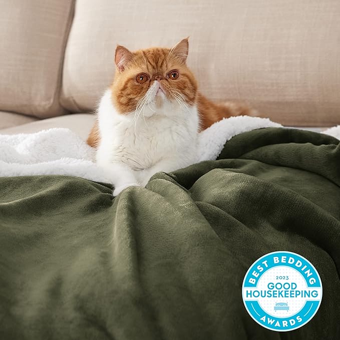 Bedsure GentleSoft Sherpa Fleece Blankets King Size for Bed - Thick and Warm Throw for Women and Men, Soft Fuzzy Plush King Blanket for Winter, Olive Green, 108x90 Inches