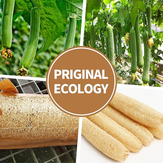 Natural Shower Loofah Sponge Exfoliating Body Scrubber，Natural Organic Beauty Exfoliating Loofah for Men and Women, Suitable for Cleansing Face Scrubber and Body Bath 2PCS (2 Small)