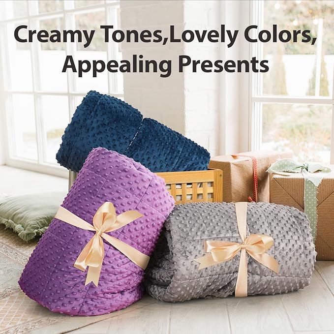 Minky Dot Weighted Blanket for Adults Queen Size 12 lbs, Warm Sherpa Snuggle Heavy Blanket for Autumn Winter with Glass Beads, Great for Stress Relief and Sleep Promotion, Grey 60 x 80 inches
