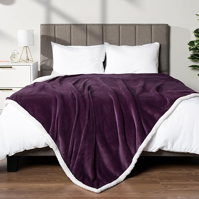 PAVILIA Sherpa Fleece Throw Blanket for Couch, Purple, Plush Soft Fuzzy Sofa Blanket, Cozy Reversible Winter Throw for Women Men, 50x60 Inches