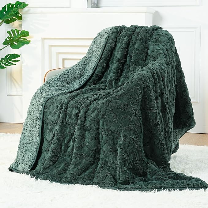 Sherpa Fleece Adult Weighted Blanket Great for Sleep, 15 lbs Dual Sided Soft Fuzzy Heavy Blankets for Couch Bed Sofa, Cozy Warm Fluffy Jacquard Throw for Winter (Green, 60" x 80", 15 Pounds)