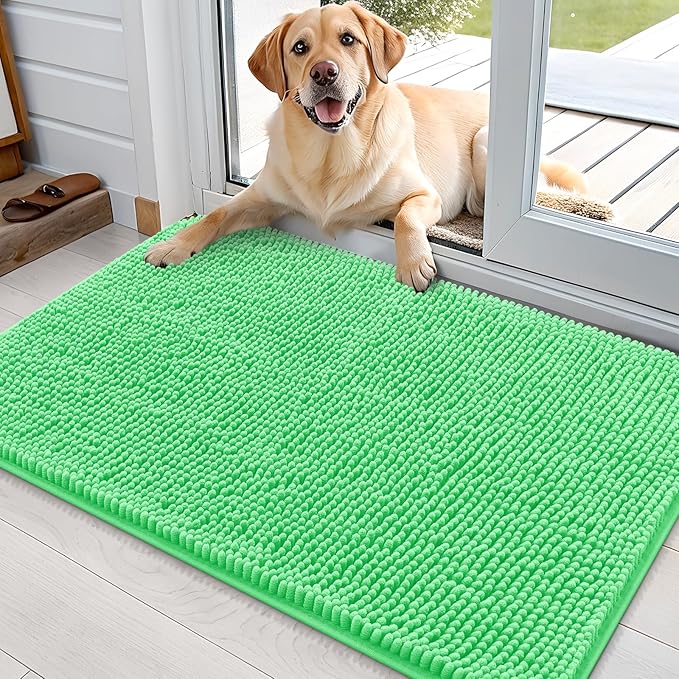OLANLY Dog Door Mat for Muddy Paws 36x24, Absorbs Moisture and Dirt, Absorbent Non-Slip Washable Doormat, Quick Dry Chenille Mud Mat for Dogs, Entry Indoor Entryway Carpet for Inside Floor, Mint Green