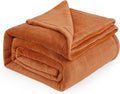 Bedsure GentleSoft Fleece Blankets Queen Size Mango - 280GSM Soft Lightweight Plush Cozy Blanket for Bed, Sofa, Couch, Travel, Camping
