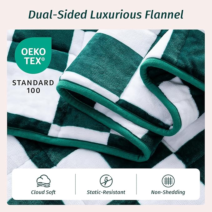 Wemore Flannel Fleece Weighted Blanket for Adult Queen Size 20 lbs, Dual Sided Luxurious Checkerboard Grid Heavy Blankets, Ultra Soft Throw Blanket, Plaid Green, 60 x 80 inches