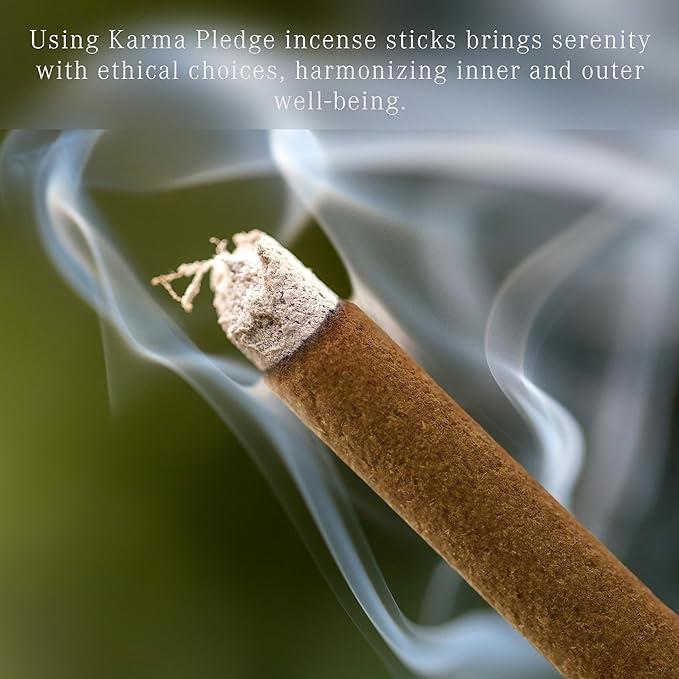 Cinnamon Incense Sticks, Organic Hand Dipped Incense, Natural Herbs & Aromatic Ingredients, Contain 40 Sticks Inside, Burn Time 45-60 Min, Spiritual Gifts, Incense by Karma Pledge