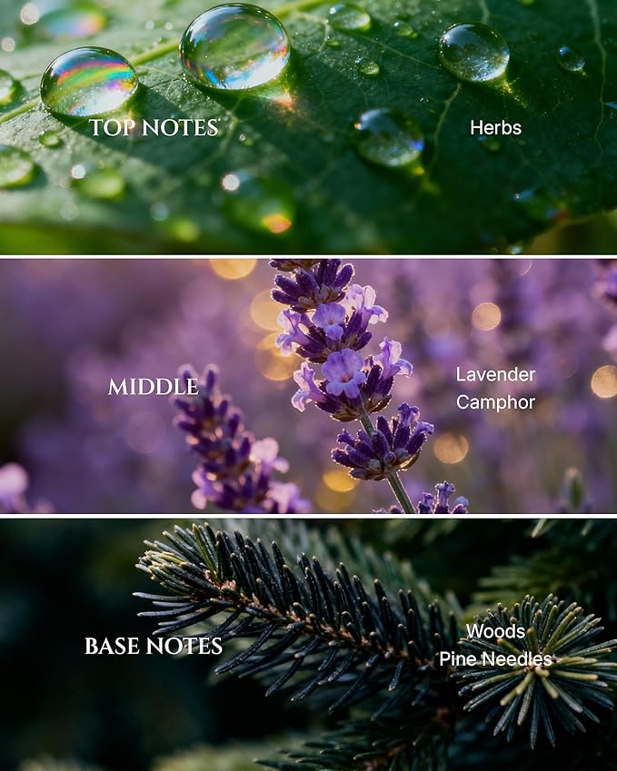 AROMADD Dream Diffuser Oil Inspired by Luxury Hotel Scent 3.38 Fl Oz (100ml), Aroma Diffuser & Hotel Fragrance Diffuser Oil, Essential Oil Diffuser for Aromatherapy, Long-Lasting