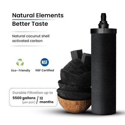 1.5 Gallons NSF Certified AISI 304 Stainless Steel Water Filter with 2 Smart Carbon (Black) Filters, 2 POSTreat Steel Fluoride Removal Elements & Free Stainless Steel Spigot