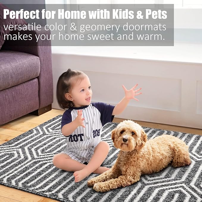 Indoor Doormat 32"x 48", Absorbent Front Back Door Mat Floor Mats, Rubber Backing Non Slip Door Mats Inside Mud Dirt Trapper Entrance Door Rug Carpet, Machine Washable Low Profile-Black Time Cloister