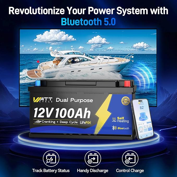 12V 100Ah Bluetooth LiFePO4 Battery, [Cranking &Deep Cycle] Lithium Battery with Self-Heating, Built-in 200A BMS, Perfect for Trolling Motor, RV, Marine, Boat(3 Pack)