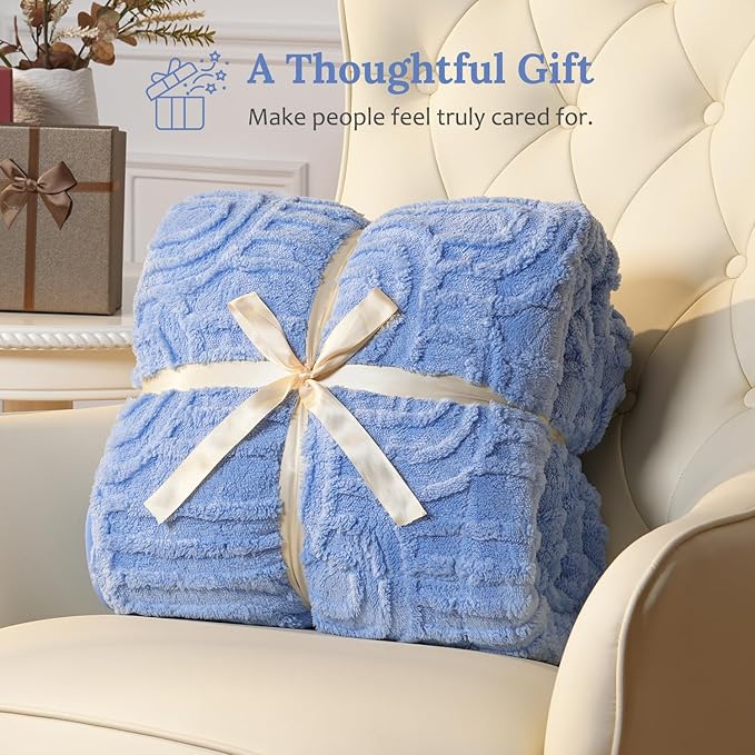 Sherpa Fleece Adult Weighted Blanket Great for Sleep, 15 lbs Dual Sided Soft Fuzzy Heavy Blankets for Couch Bed Sofa, Cozy Warm Fluffy Arched Jacquard Throw for Winter (Blue, 60" x 80", 15 Pounds)
