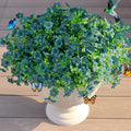 JAKY-Global Faux Artificial Plants Outdoor Flowers Spring Summer Decoration 16 Bundles Fake Eucalyptus Silk Daisy UV Resistant Realistic for Outside Pot,Front Porch,Planters,Patio,Yard Decor