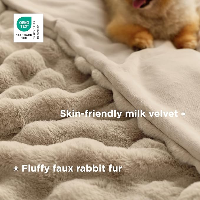 Bedsure GentleSoft Fluffy Faux Fur Blanket Twin Size, Fuzzy Soft Bubble Blanket for Couch, Faux Fur Decor for Home Living Room, Thick Furry Cozy Gifts for Women, Beige, 60x80 Inch