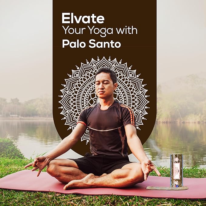 Satya Nag Champa Palo Santo Incense Sticks 250 gm Pack, Insenses with Raajsee Insence Holder Bundle, Nag Champa Natural Incense