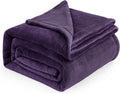 Bedsure GentleSoft Fleece Bed Blankets Large Size Purple - Soft Lightweight Fuzzy Cozy Luxury Oversized King Blanket Microfiber, Room Home Decor Gifts for Women and Men, 120x120 inches