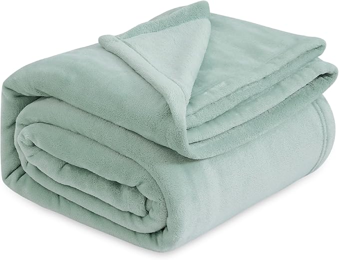 Bedsure GentleSoft Sage Green Fleece Blankets Queen Size - 280GSM Soft Lightweight Plush Cozy Blanket for Bed, Sofa, Couch, Travel, Camping