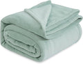 Bedsure GentleSoft Sage Green Fleece Blankets Queen Size - 280GSM Soft Lightweight Plush Cozy Blanket for Bed, Sofa, Couch, Travel, Camping