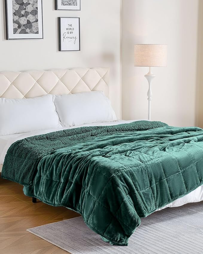 Uttermara Weighted Blanket for Adults, Twin Size Heavy Blanket with Reversible Soft Shiny Velour Fleece and Cozy Warm Sherpa for Couch Bed, Calming and Relaxing, 48 x 72 inches 12 lbs in Green