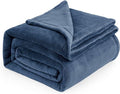Bedsure GentleSoft Fleece Bed Blankets Full Size Mineral Blue - Soft Lightweight Plush Fuzzy Cozy Luxury Blanket Microfiber, 84x90 inches