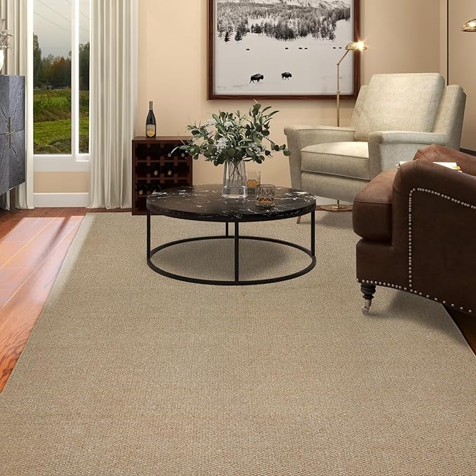 5x7 Area Rugs - Rug for Living Room, Washable Area Rugs 5x7 for Bedroom, Non-Slip Carpet for Dorm Room (Brown)