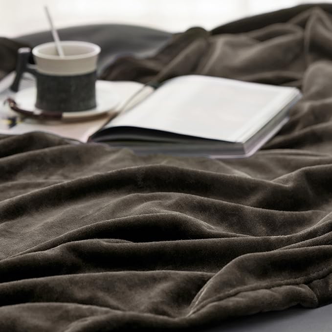 Bedsure GentleSoft Fleece Blanket Twin Size Brown - 300GSM Lightweight Plush Fuzzy Cozy Soft Warm Blanket for Bed, Sofa, Couch, Travel, Camping, 60x80 inches