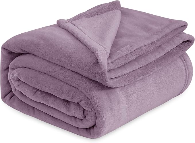 Bedsure GentleSoft Fleece Bed Blankets Queen Size Fog Purple - Soft Lightweight Plush Fuzzy Cozy Luxury Blanket Microfiber, 90x90 inches