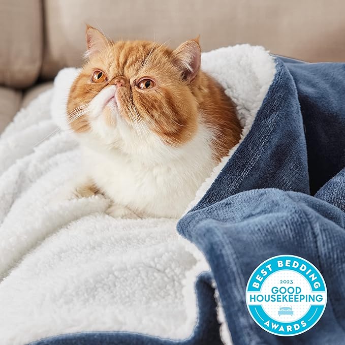 Bedsure GentleSoft Sherpa Fleece Throw Blanket for Couch - Thick and Warm Throw for Women and Men, Soft Fuzzy Plush Blanket for Winter, Slate Blue, 50x60 Inches