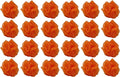 24 Orange Bath or Shower Sponge Loofahs Pouf Mesh Wholesale Bulk Lot