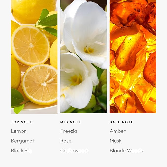 Aroma360 Fragrance Oil - Fragrance Oil Inspired by Edition Hotel - Scents Include Smokey Black Tea, Rose & Amber - Black Velvet, 500mL/16.9 fl oz