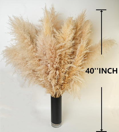 10 PCS 40" Tall Pampas Grass Stems in Natural Beige, Add a Boho Touch to Your Space—Pompas Grass Ideal for Floral Arrangements, Floor Vases, Weddings, and Creating a Bohemian Ambiance at Home.