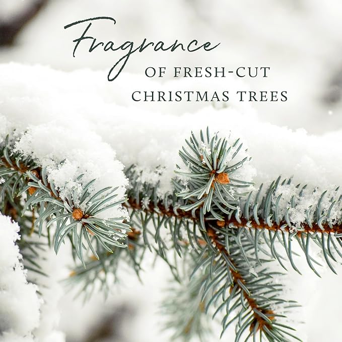 Thymes Frasier Fir Flocked Jar Candles – Holiday Scented Candles for Home with Notes of Crisp Siberian Fir, Cedarwood & Sandalwood – Luxury Home Decor Gifts for Women & Men (3-Wick, 18 oz)