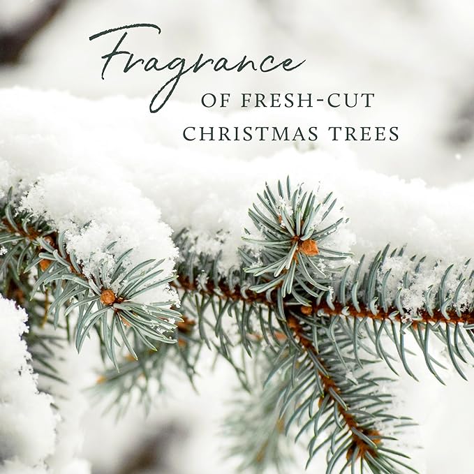 Thymes Frasier Fir Scented Candles for Home Decor – Green Heritage Holiday Candle – Notes of Siberian Fir Needles, Cedarwood & Sandalwood – Luxury Home Fragrance Gifts for Women & Men (3-Wick, 17 oz)