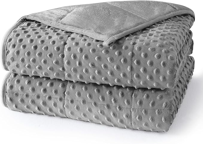 Minky Dot Weighted Blanket for Adults Queen Size 15 lbs, Soft Cooling Heavy Breathable Blanket for All-Season, Washable Weighted Throw with Glass Beads, 60 x 80 Inches, Grey