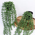 Artificial Hanging Plants for Shelf, 2-Pack Fake Potted Greenery Faux String of Pearls in Black Pot, Décor for Office Living Room Bathroom Indoor Outdoor