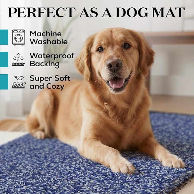 Premium Microfiber Indoor Door Mat – 36"x60" Washable Entry Mat, Non-Slip, Waterproof Backing, Super Absorbent, Low Profile Entryway Doormat for Indoor Entrance