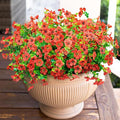 HyeFlora Artificial Flowers for Outdoor Indoor Garden Home Decoration, Faux Flower Daisy with Eucalyptus Leaves Fake Plants Greenery Boxwood Porch Patio, 12 Bundles (Red)