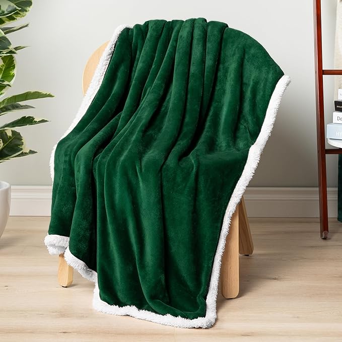PAVILIA Sherpa Fleece Throw Blanket for Couch, Twin Size, Emerald Green, Plush Soft Fuzzy Sofa Blanket, Cozy Reversible Winter Throw for Women Men, 60x80 Inches