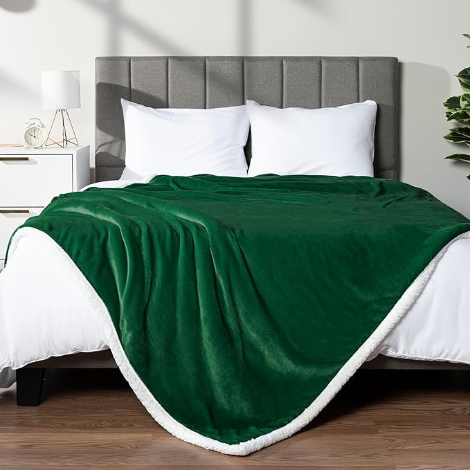 PAVILIA Sherpa Fleece Throw Blanket for Couch, Twin Size, Emerald Green, Plush Soft Fuzzy Sofa Blanket, Cozy Reversible Winter Throw for Women Men, 60x80 Inches