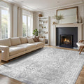 vivorug 3x5 Neutral Area Rugs, Stain Resistant Washable Rug for Living Room, Vintage-Inspired (Ivory/Silver, 3'x5')