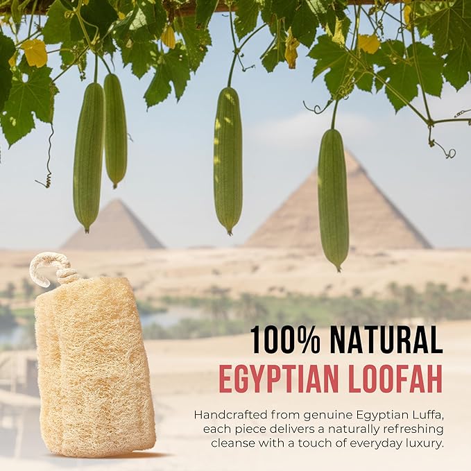 CraftsOfEgypt Natural Loofah Sponge – Egyptian Luffa Body Scrubber Pack of 1 for Men & Women, Natural Bath & Shower Loofah Exfoliator, All Natural Loofah Sponges for Face Back & Body, 6" x 6"