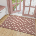 hicorfe Indoor Doormat,Front Back Door Mat Rubber Backing Non Slip Door Mats 32"x48" Absorbent Resist Dirt Entrance Doormat Inside Floor Mats for Entryway Washable Low-Profile(Light Pink)