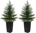 2 Pack 4FT Artificial Norfolk Pine Trees, Real Feel Faux Christmas Tree with Square Black Pot, Pet Safe PPC Material, Indoor Outdoor Plants for Front Porch, Living Room Decor
