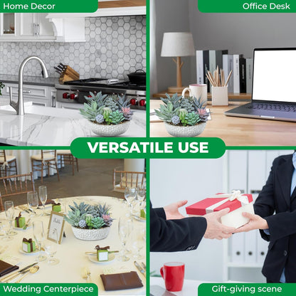 Premium Assorted Artificial Succulent Collection - Large Real Touch Artificial Cactus, Aloe Vera & Succulent Plants Artificial with Pots for Home Office Indoor (Artificial Glass - Pot)