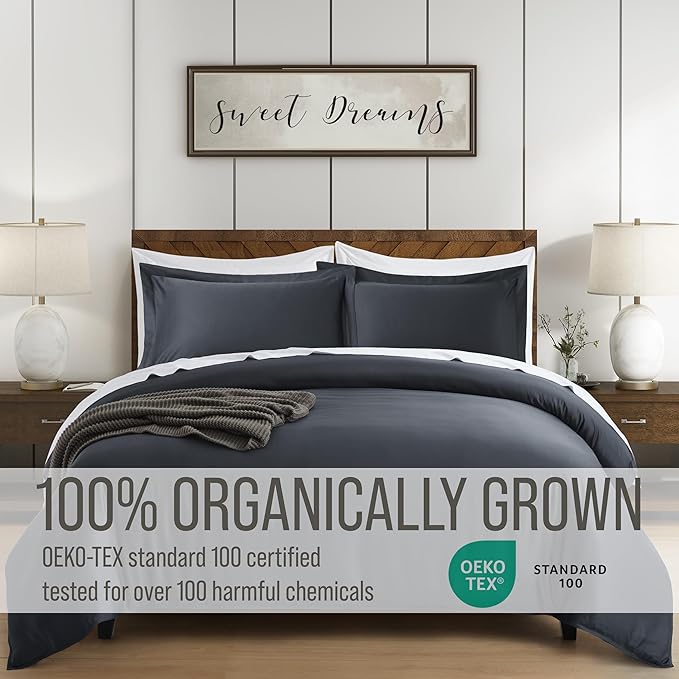 Bella Coterie Luxury Bamboo Viscose Queen Size Duvet Cover Set | 100% Organically Grown | Corner Ties | Ultra Soft | Cooling | Two Pillow Shams | 90 x 94 | No Insert [Charcoal Grey]