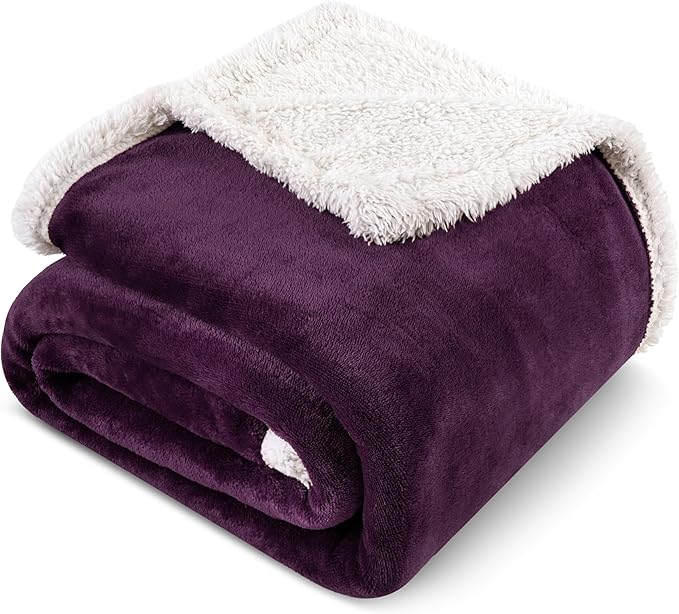 PAVILIA Sherpa Fleece Throw Blanket for Couch, Purple, Plush Soft Fuzzy Sofa Blanket, Cozy Reversible Winter Throw for Women Men, 50x60 Inches