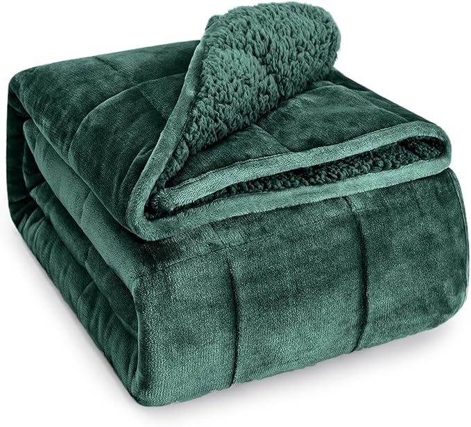Wemore Sherpa Fleece Weighted Blanket for Adult, 15 lbs Dual Sided Cozy Fluffy Heavy Blanket, Ultra Fuzzy Throw Blanket with Soft Plush Flannel Top, 48 x 72 inches, Green on Both Sides