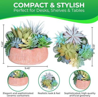 Premium Assorted Artificial Succulent Collection - Large Real Touch Artificial Cactus, Aloe Vera & Succulent Plants Artificial with Pots for Home Office Indoor (Artificial Coconut Shell - Pot)